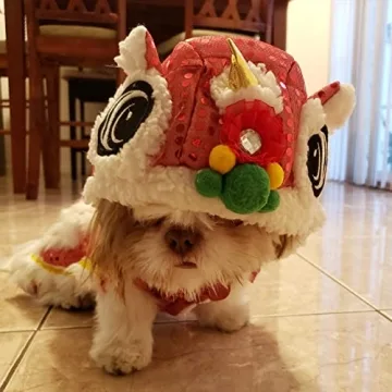 NACOCO Lion Pet Costume for New Year Fun and Style