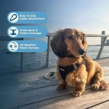 Comfortable Step-In Dog Harness for Small Breeds