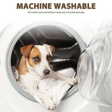 Comfortable Orthopedic Dog Bed Mat for Small Dogs