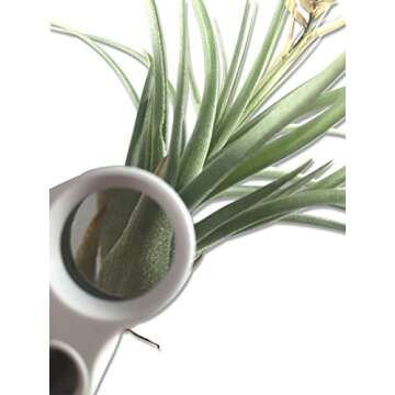 Happy Hydro LED Loupe - 30x & 60x Magnifying Lens