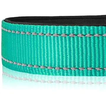 Joytale Reflective Dog Collar for Medium Dogs - Adjustable & Stylish