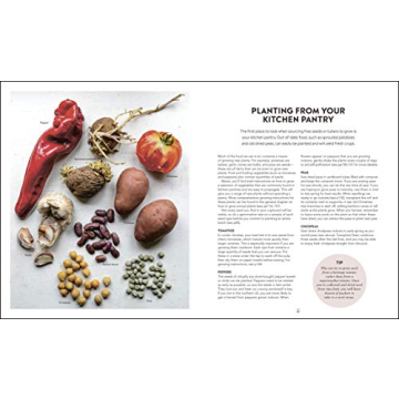 Grow Food For Free - Easy Sustainable Gardening Guide