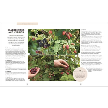 Grow Food For Free - Easy Sustainable Gardening Guide