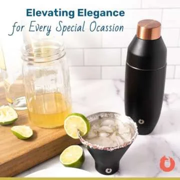 Premium Insulated Stainless Steel Martini Glass Set