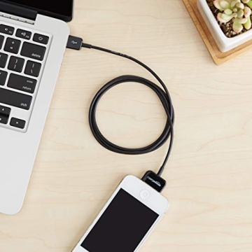 Amazon Basics 30-Pin to USB Charging Cable for iPhone 4, iPod, iPad