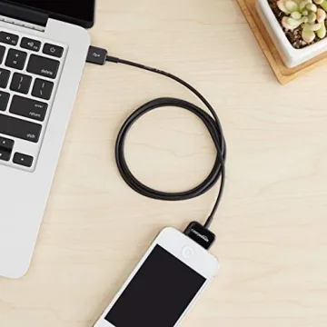 Amazon Basics 30-Pin to USB Charging Cable for iPhone 4, iPod, iPad