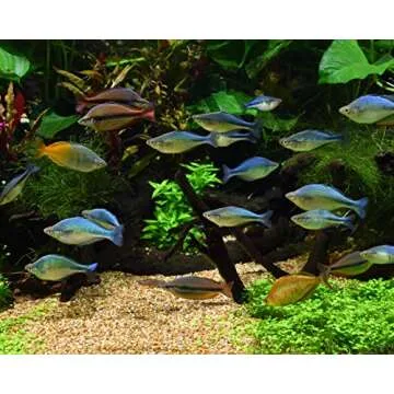 Seachem Matrix Biofilter Media for Aquariums 4L