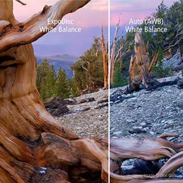 ExpoDisc Professional White Balance Filter - 82mm lens thread - Get Beautiful Color in Your Photos and Video, Easy-to-Use, No Software Required, Save Time Fixing Color