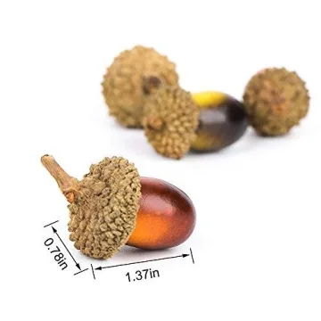 Realistic 100 Pcs Artificial Acorns for Crafts and Decor
