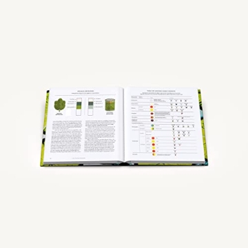 The Flavor Equation Cooking Science & 100 Recipes