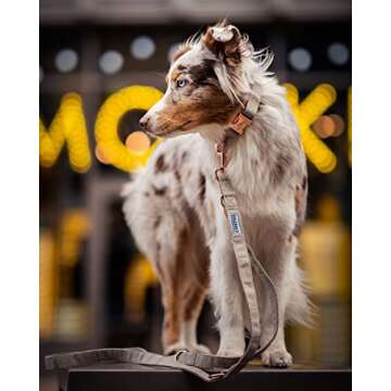 BYLEEDUR Heavy Duty Dog Collar and Leash (6.6') Set, Exceptionally Elegant with Rose Gold, 3 Adjustable Lengths & Timeless, Soft and Comfortable (L (15.7''-24''), Beige)