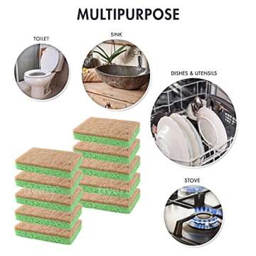 Natural Sponge by Scrubit - Eco-Friendly and Biodegradable