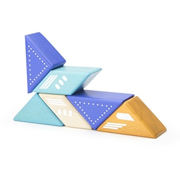 Tegu 6 Piece Travel Pal Magnetic Block Set for Kids