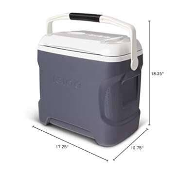 Igloo Portable Electric Coolers, 12v Cooler, Iceless Plug in Cooler, Electrice Ice Chest, Powered Cooler Hot/Cold