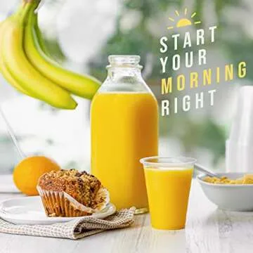 Framo 9 Oz Clear Plastic Cups, For Any Occasion, BPA-Free Disposable Transparent Ice Tea, Juice, Soda, and Coffee Glasses for Party, Picnic, BBQ, Travel, and Events, (240, clear)