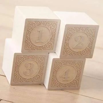 Uncle Goose Alphablanks Numbers Blocks for Kids 2+