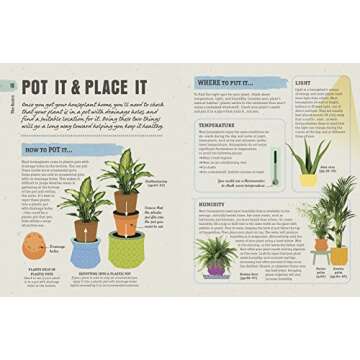 How Not to Kill Your Houseplant Survival Tips for Beginners