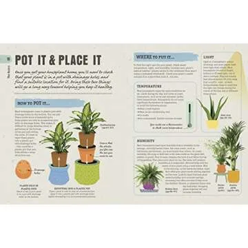 How Not to Kill Your Houseplant Survival Tips for Beginners