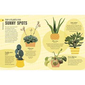 How Not to Kill Your Houseplant Survival Tips for Beginners