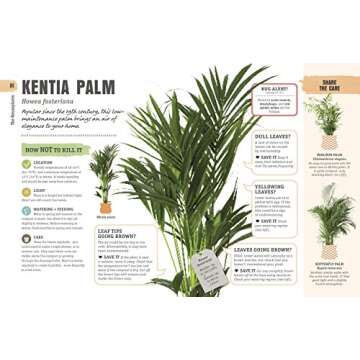 How Not to Kill Your Houseplant Survival Tips for Beginners