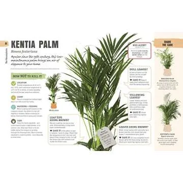 How Not to Kill Your Houseplant Survival Tips for Beginners