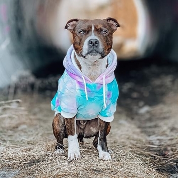 Stylish Spark Paws Dog Hoodie for All Breeds - Soft & Warm