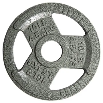 Fitvids 10LB Cast Iron Weight Plate for Strength Training