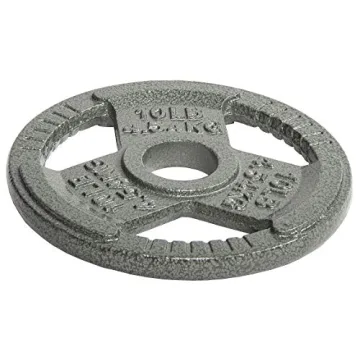 Fitvids 10LB Cast Iron Weight Plate for Strength Training
