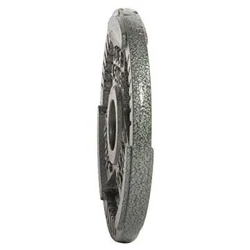 Fitvids 10LB Cast Iron Weight Plate for Strength Training