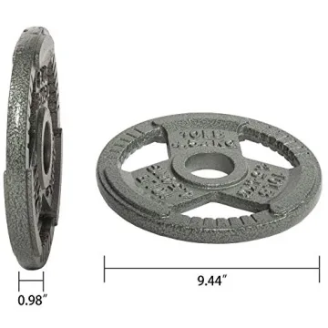 Fitvids 10LB Cast Iron Weight Plate for Strength Training