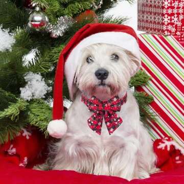 ADOGGYGO 2 Pack Christmas Dog Collar with Bow Tie, Classic Plaid Red Green Dog Collars with Removabl...