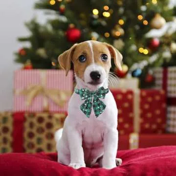 Festive Bowtie Christmas Dog Collars for Small Pets