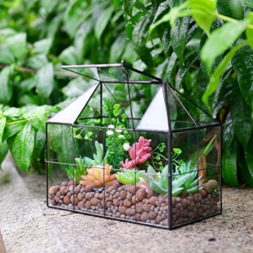 Large Glass Terrarium House Planter for Indoor Plants