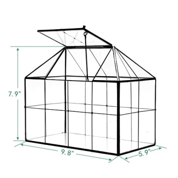 Large Glass Terrarium House Planter for Indoor Plants
