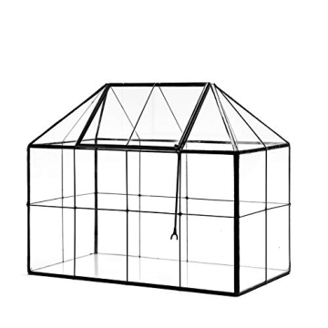Large Glass Terrarium House Planter for Indoor Plants