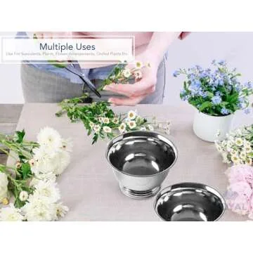 Royal Imports 8" Decorative Plastic Planter Pedestal Bowl- Flower Pot Cover, Footed Succulent Dish for Wedding, Party, Garden, Home and Holiday Decor, Silver, 2 Pack