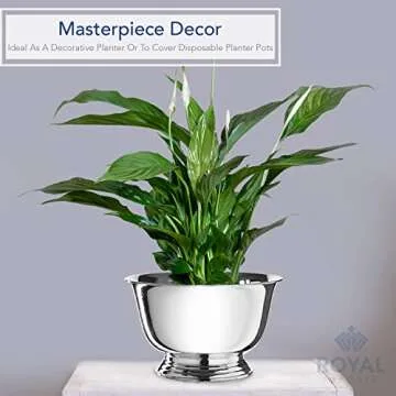 Royal Imports 8" Decorative Plastic Planter Pedestal Bowl- Flower Pot Cover, Footed Succulent Dish for Wedding, Party, Garden, Home and Holiday Decor, Silver, 2 Pack