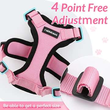 rabbitgoo Cat Harness and Leash for Active Kittens