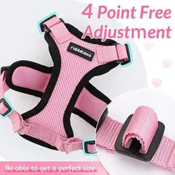 rabbitgoo Cat Harness and Leash for Active Kittens