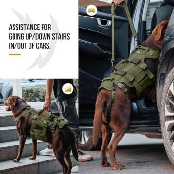 OneTigris Dog Lift Harness for Large Dogs - Mobility Support