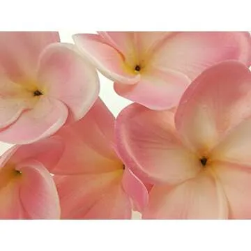 Winterworm Real Touch Plumeria Flowers - 10 Bouquets