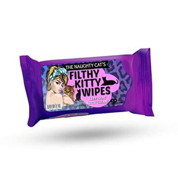 Filthy Kitty Wipes - Funny Wet Wipes - Weird Crazy Cat Lady Gifts for Friends, Pocket Size