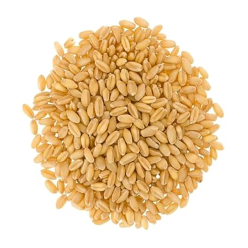 Premium Glyphosate Residue Free Soft White Wheat Berries