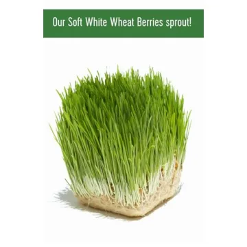 Premium Glyphosate Residue Free Soft White Wheat Berries