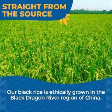 Lotus Foods Heirloom Forbidden Rice - Black Rice, Purple Rice, Black Rice Bulk, Gluten Free Heirloom Rice, Whole Grain, Non GMO, Vegan - 15 Oz Bag (Pack of 1)