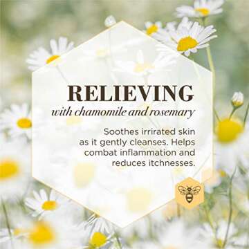 Burt's Bees for Pets Care Plus+ Naturally Derived Relieving Ear Rinse With Chamomile and Rosemary - Dog Ear Wash Cleaner Solution for All Dogs - pH Balanced for Dogs - Made in USA, 4 Ounces