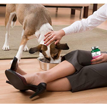 Vet’s Best Seasonal Allergy Relief for Dogs | 60 Chewable Tablets