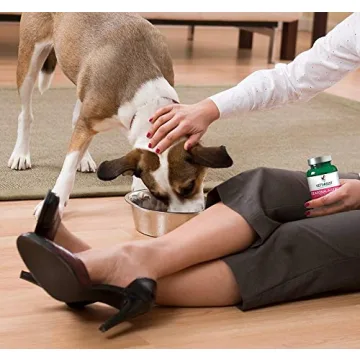 Vet’s Best Seasonal Allergy Relief for Dogs | 60 Chewable Tablets