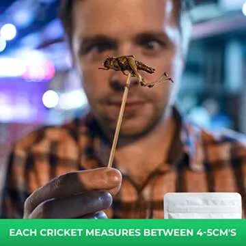 ecoEat Giant Crickets Edible Snack Gift - 15g