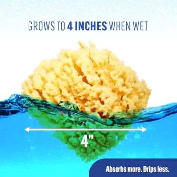 Baby Buddy Natural Yellow Sea Sponge Soft Eco-friendly